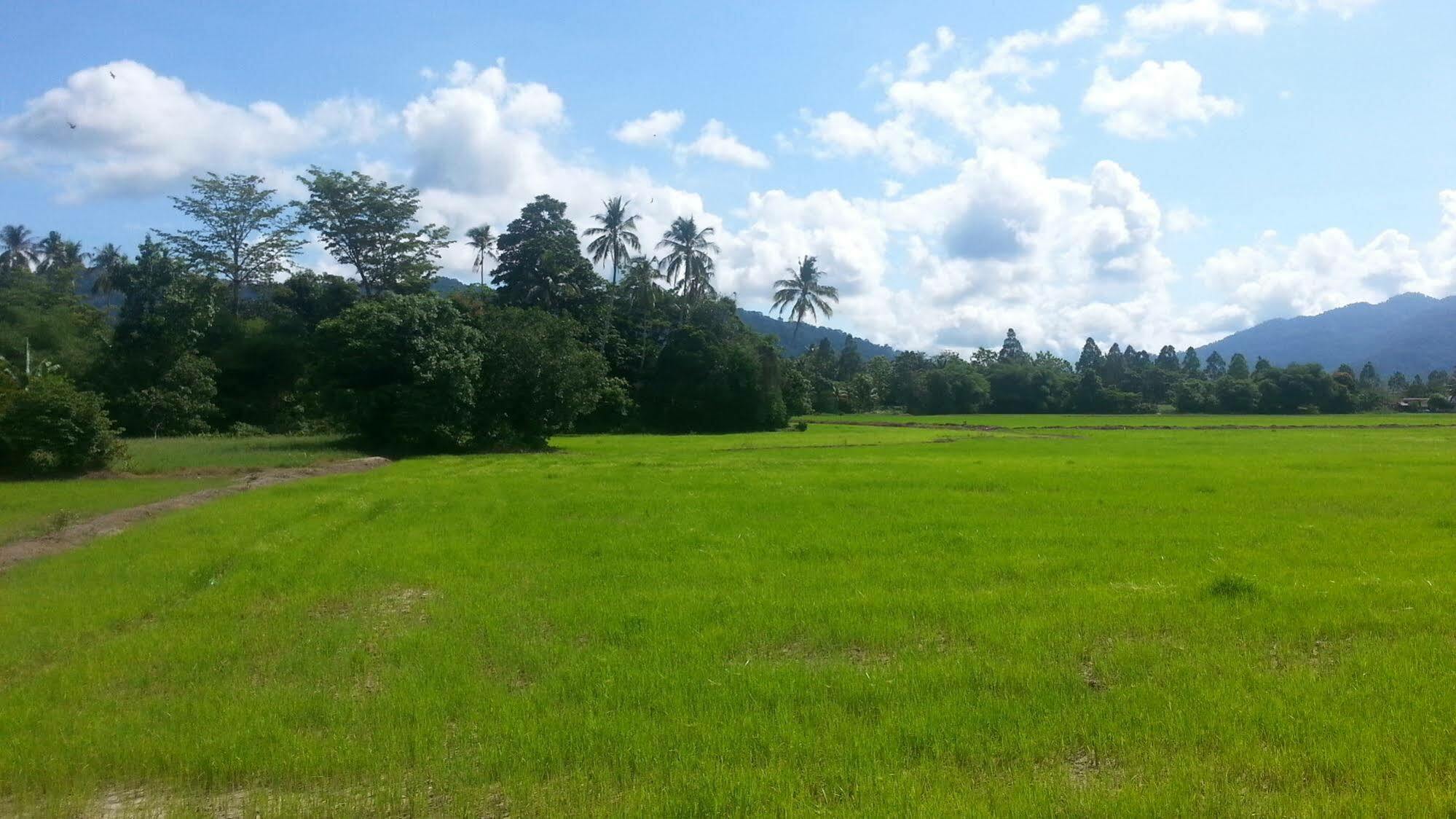Oyo 275 Senyum Inn Pantai Cenang  Kültér fotó